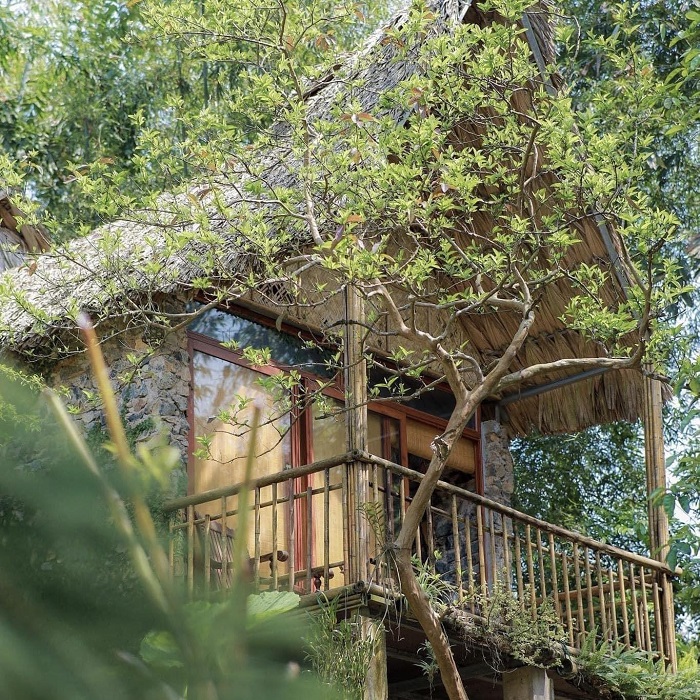 Mộc Châu Retreat là khu retreat đẹp ở Tây Bắc mà bạn nên ghé thăm