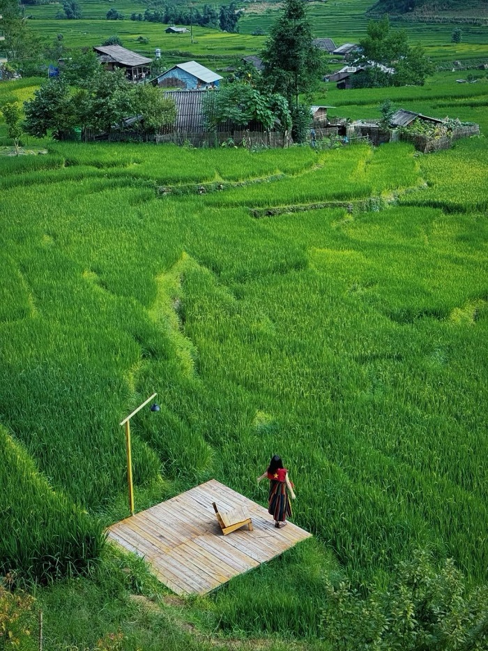 Lá Coffee Sapa mang vẻ đẹp tối giản