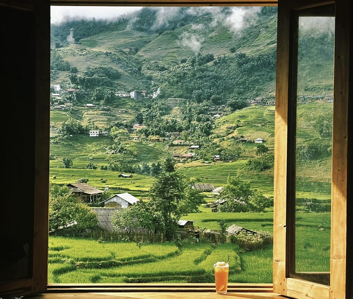 Lá Coffee Sapa mang lại sự bình yên