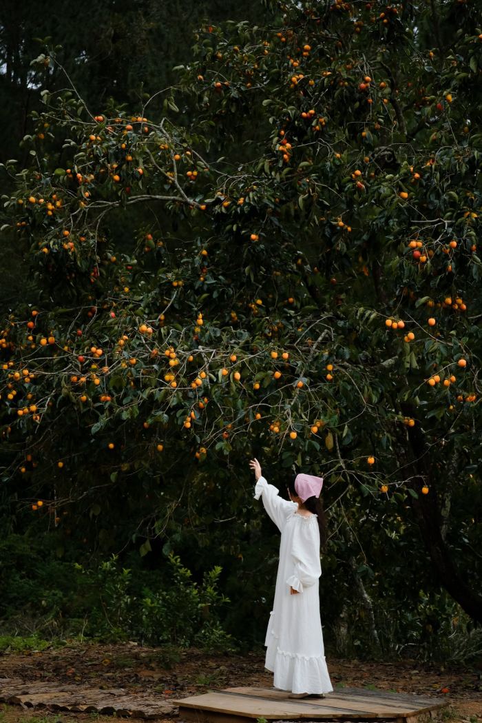 lý do nên du lịch D’ran tháng 10