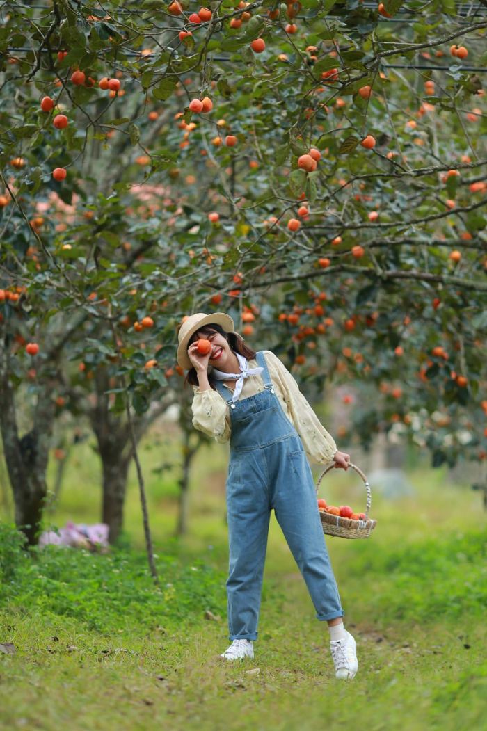 lý do nên du lịch D’ran tháng 10