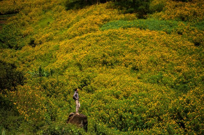 lý do nên du lịch D’ran tháng 10