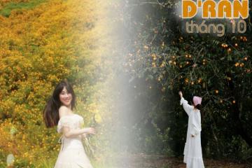 Những lý do nên du lịch D’ran tháng 10 mê mẩn ‘xứ sở thần tiên’ xinh đẹp