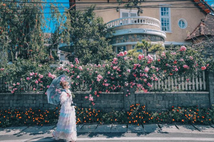 toạ độ check-in ở đường Cô Giang Đà Lạt ngôi nhà hoa hồng