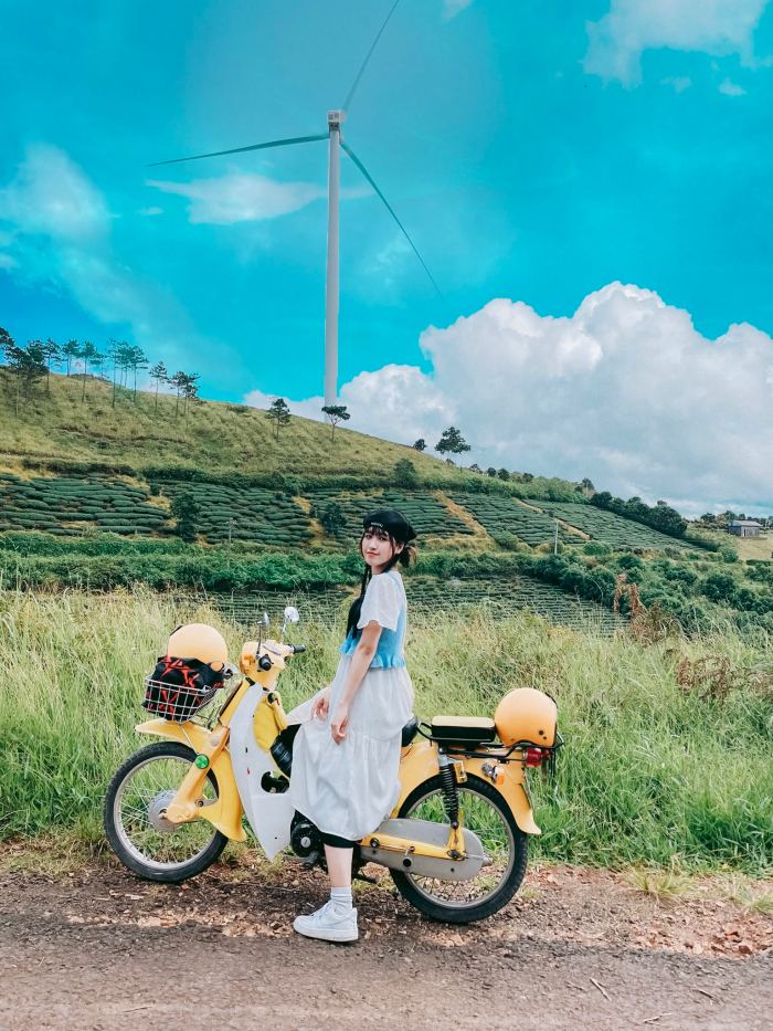 Du lịch Đà Lạt hay Sapa rẻ hơn Du lịch Đà Lạt hay Sapa rẻ hơn