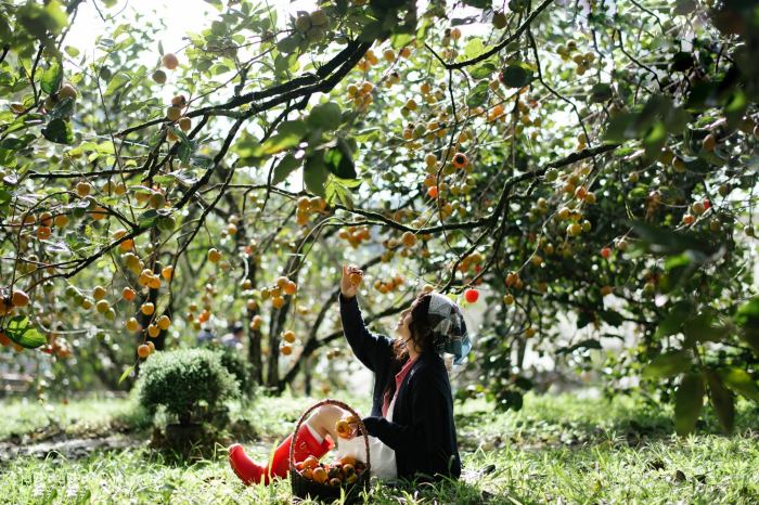 du lịch 20-10 đi đâu lý tưởng du lịch 20-10 đi đâu lý tưởng