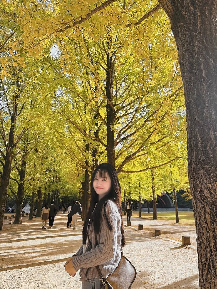  Hành trình đi tour Seoul Nami Hàn Quốc