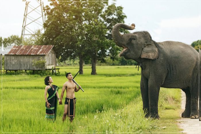 Du lịch với voi ở Đắk Lắk