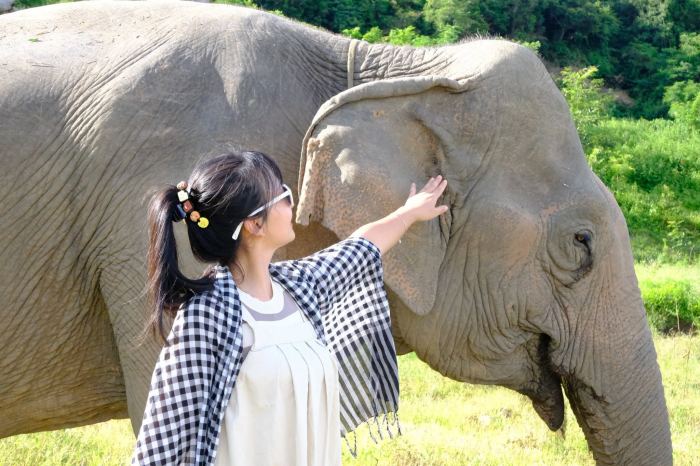 Du lịch với voi ở Đắk Lắk