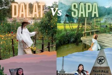 Du lịch Đà Lạt hay Sapa rẻ hơn? Cập nhật từ A đến Z và mẹo tiết kiệm tối đa