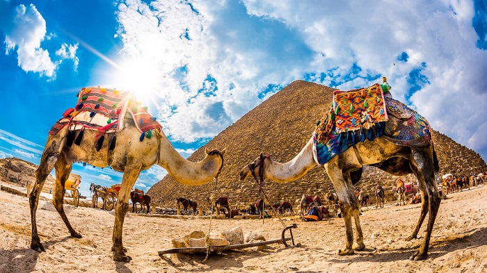 8 lý do bạn nên đi du lịch Ai Cập tự túc năm 2020