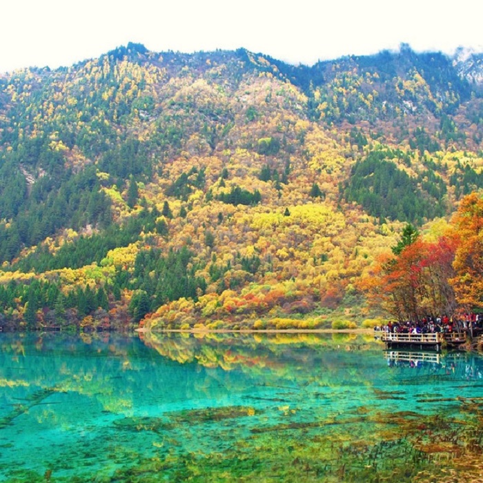 đi du lịch cửu trại câu trung quốc