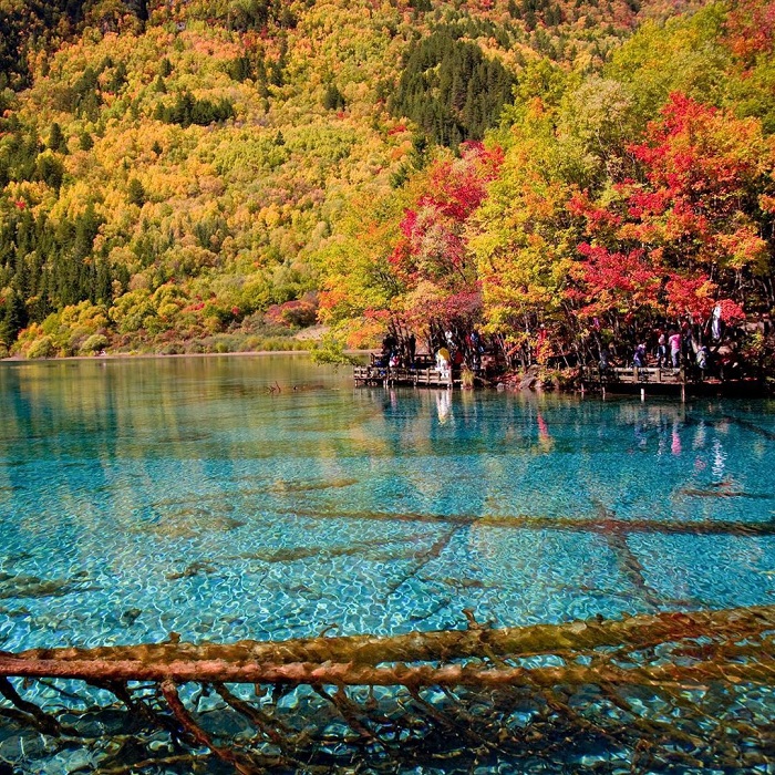 đi du lịch cửu trại câu trung quốc