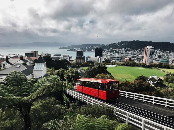 Kinh nghiệm du lịch Wellington New Zealand 