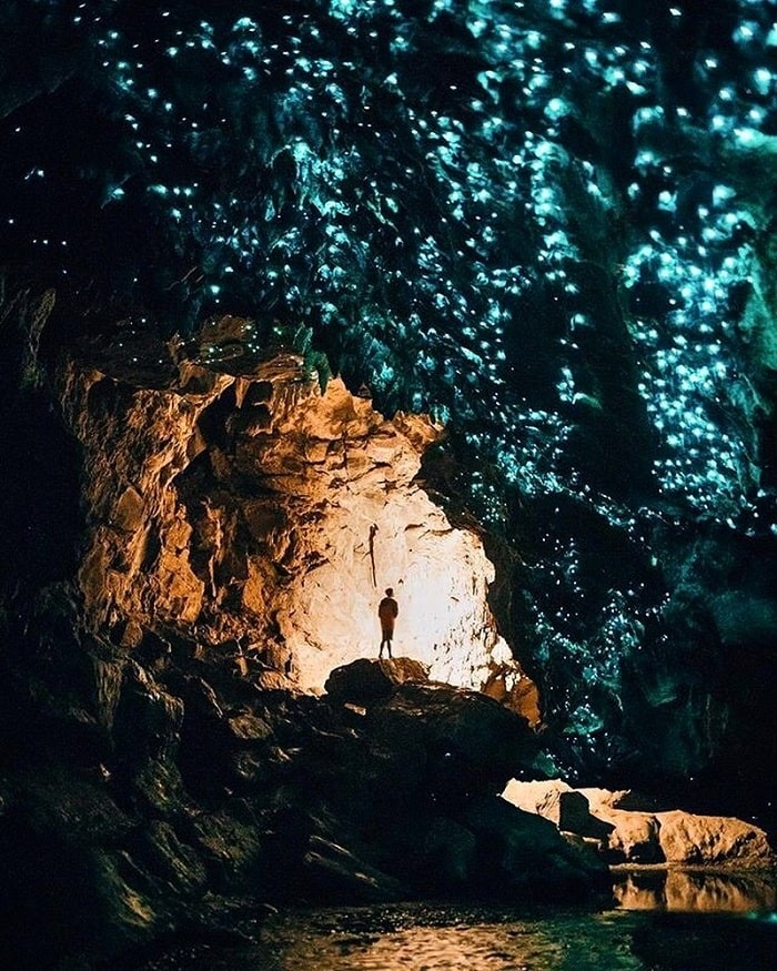 Gợi ý lịch trình các địa điểm du lịch đảo bắc New Zealand