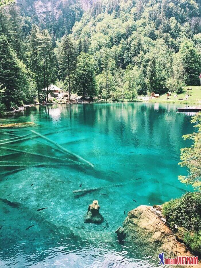 Ngẩn ngơ trước vẻ đẹp huyền diệu của hồ Blausee Thụy Sĩ