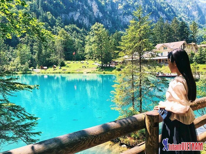 Ngẩn ngơ trước vẻ đẹp huyền diệu của hồ Blausee Thụy Sĩ