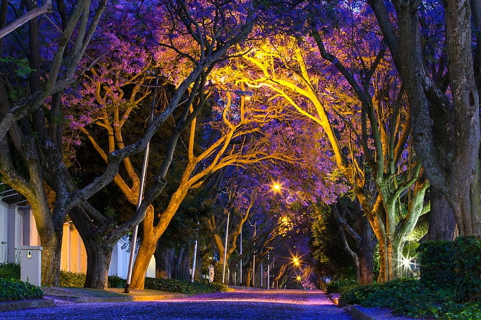 72h khám phá thành phố Johannesburg Nam Phi