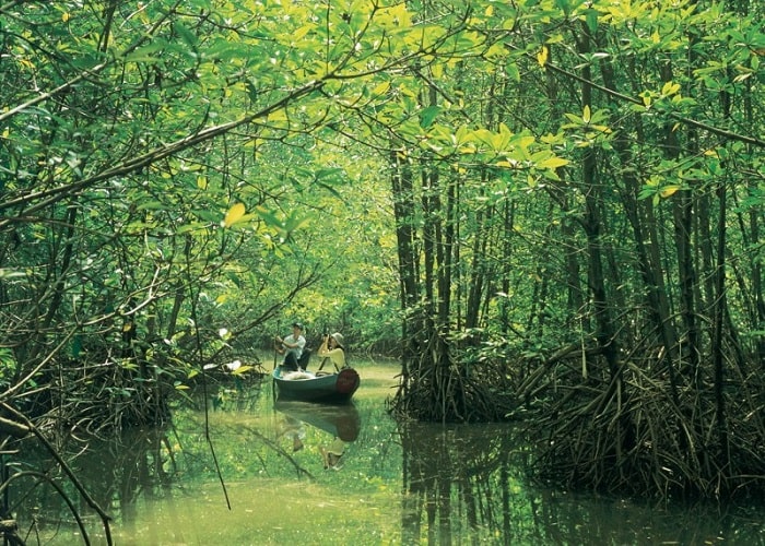 Explore the Can Gio Biosphere Reserve - a peaceful, blue place right in Saigon