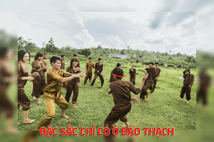 lap-team-pha-dao-khu-du-lich-sinh-thai-bao-thach-ben-tre9