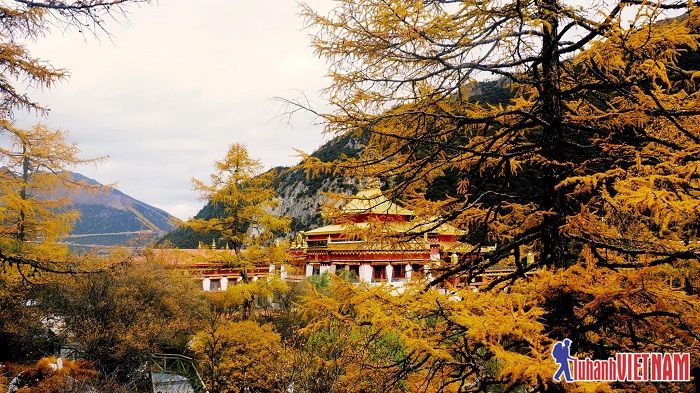 Review du lịch Á Đinh khám phá chốn bồng lai bên rìa Tây Tạng