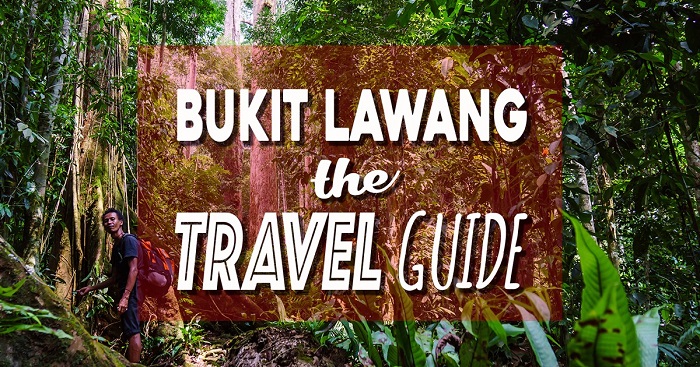 Kinh nghiệm khám phá làng Bukit Lawang