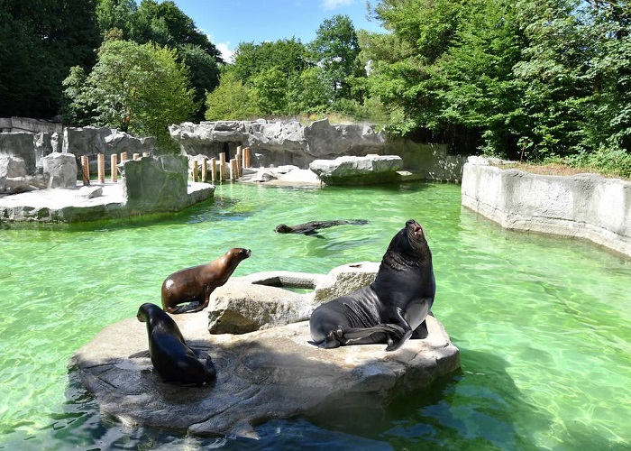 Vườn thú Hellabrunn - Địa điểm du lịch ở Munich