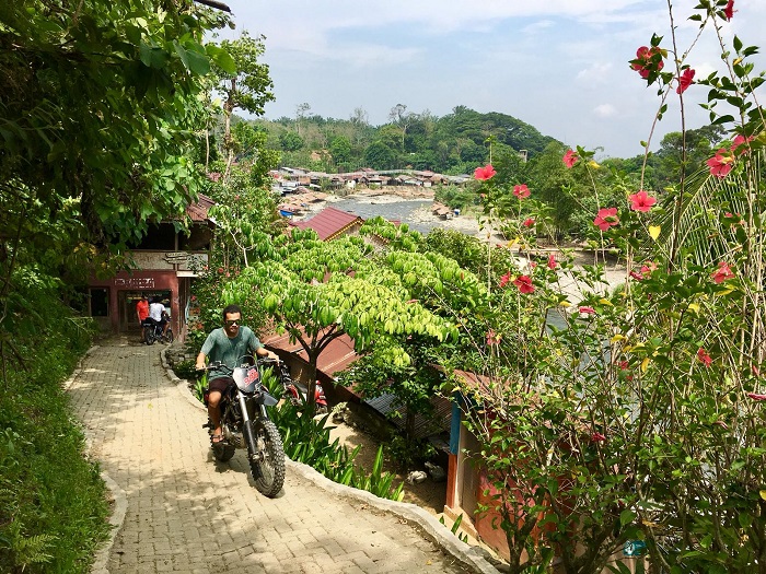 Kinh nghiệm khám phá làng Bukit Lawang