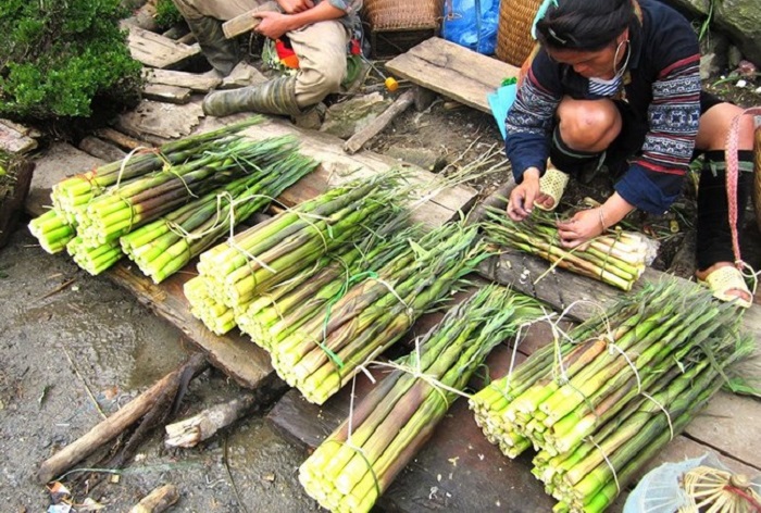 Northwest specialties - Bamboo shoots