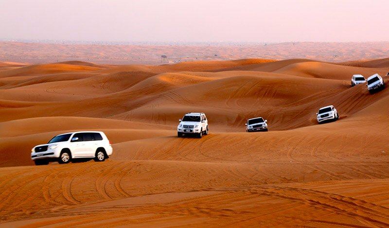 đi xe tốc độ safari là trải nghiệm ở Qatar bạn nên thử