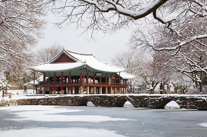 địa điểm du lịch Hàn Quốc mùa đông - khám phá vườn Gwanghallu
