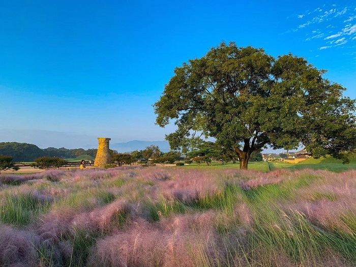 điều nên làm ở Gyeongju - ngắm sao ở Cheomseongdae