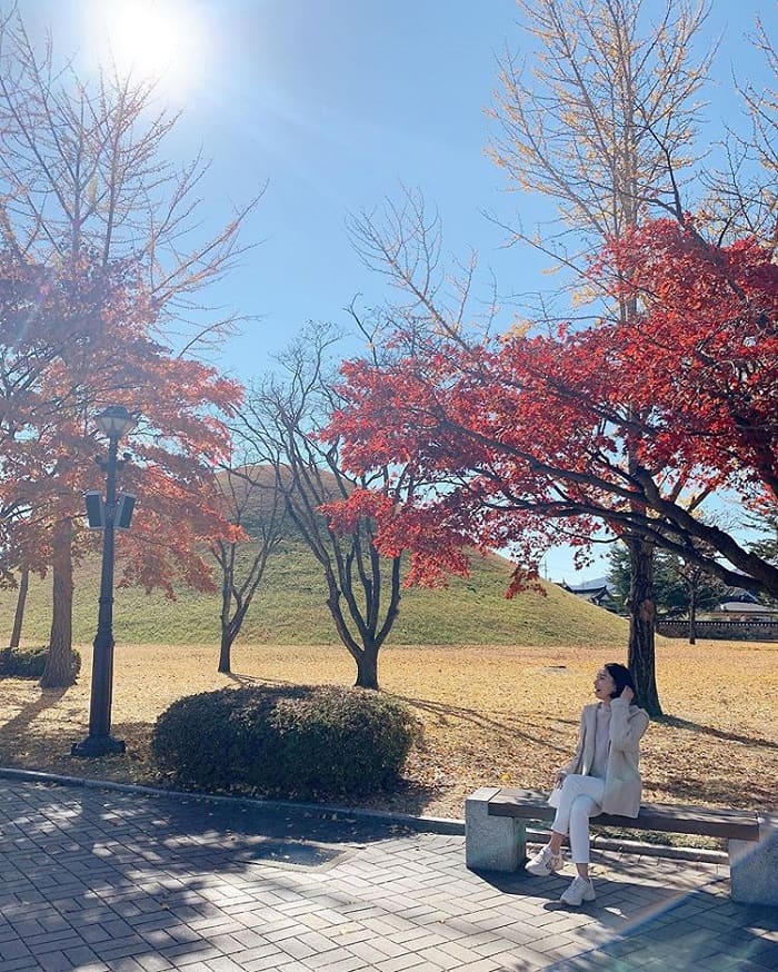 điều nên làm ở Gyeongju - tham quan ngắm cảnh ở khu mộ Silla