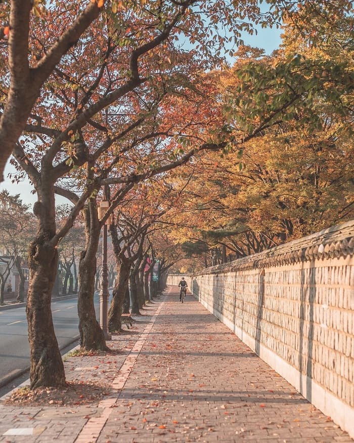 điều nên làm ở Gyeongju khám phá cố đô cổ kính