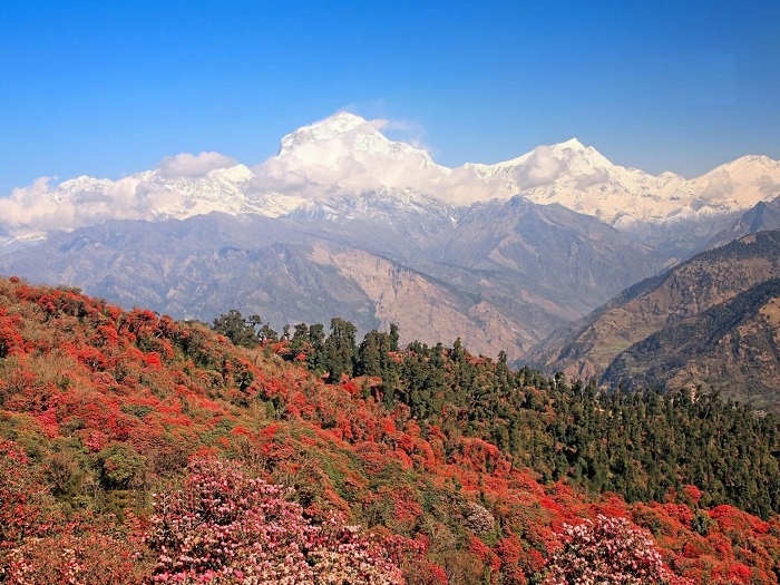 Du lịch Nepal mùa nào đẹp nhất? Mùa xuân - Thời điểm lý tưởng để đi du lịch Nepal