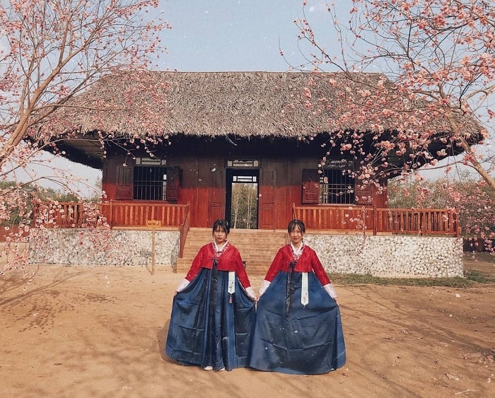 Take pictures with hanbok - exciting activities at Thuy Hoa Vien Tay Ninh