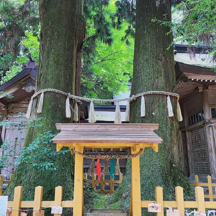 hẻm núi Takachiho - thăm đền Takachiho