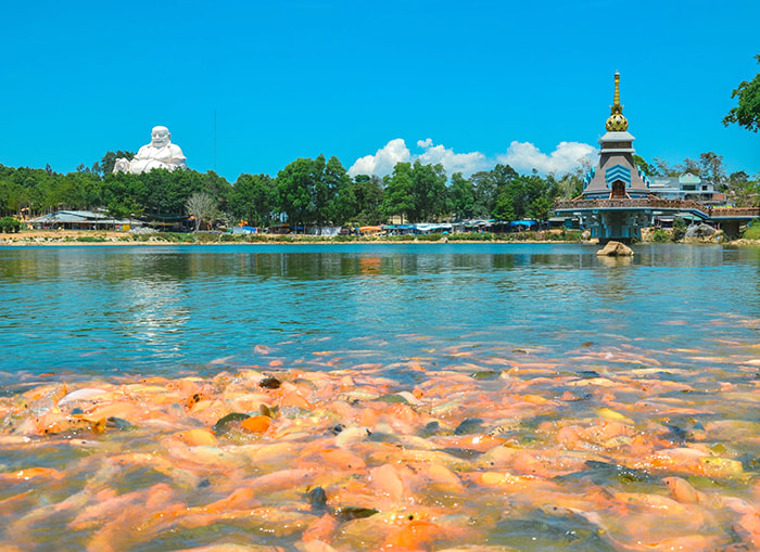 Viếng chùa Phật Lớn An Giang - Hồ Thủy Liêm nhìn sang bên kia
