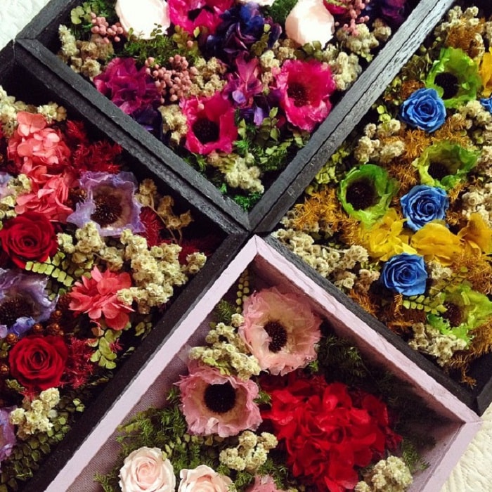 hoa khô - đặc sản Đà Lạt mua làm quà ý nghĩa và ấn tượng nhất
