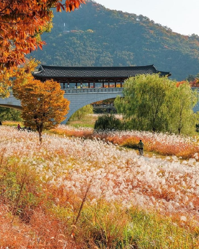 kinh nghiệm du lịch Jeonju Hàn Quốc - điểm tham quan đẹp