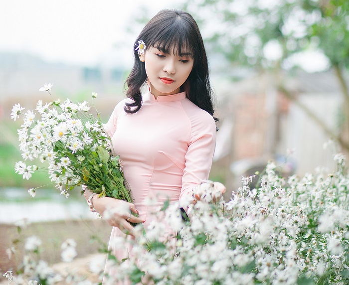Thanh Hoa's chrysanthemum season returns everywhere