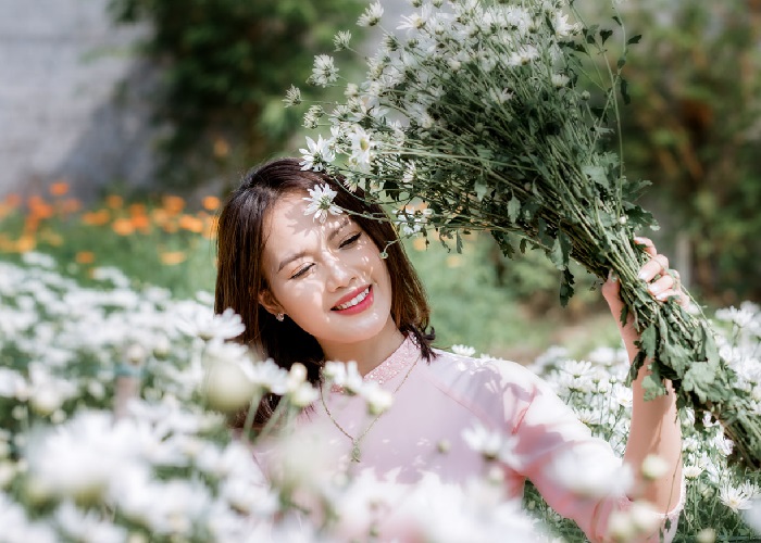 Thanh Hoa's chrysanthemum season is in full bloom from mid-November