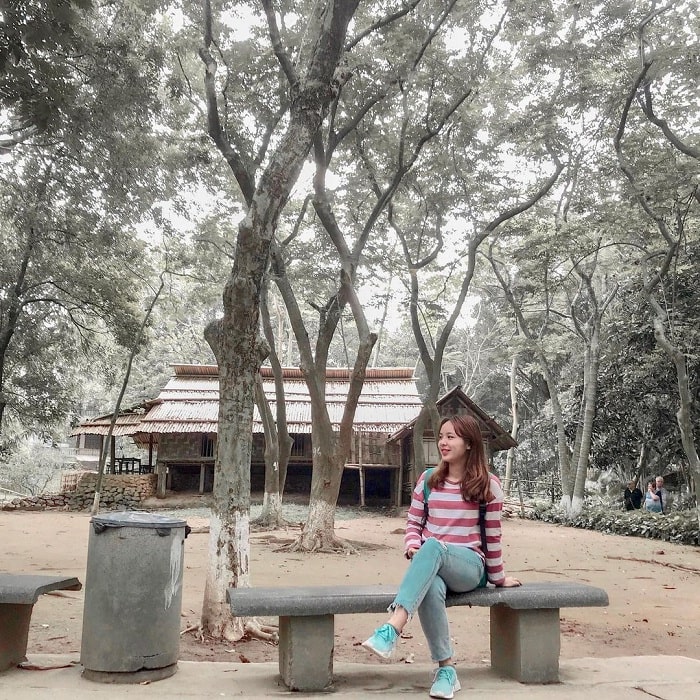 cây xanh - không gian thú vị tại Bảo tàng dân tộc học Việt Nam