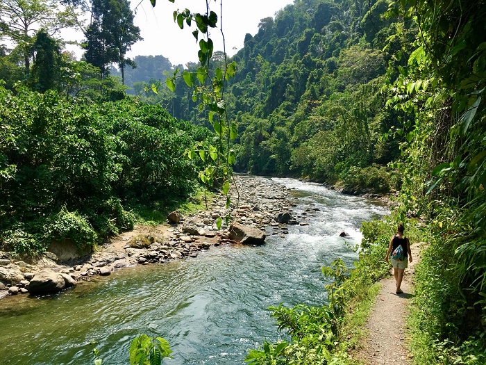 Kinh nghiệm khám phá làng Bukit Lawang - đi lang thang trong rừng