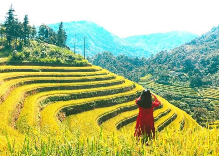 Cat Linh village owns beautiful terraced fields