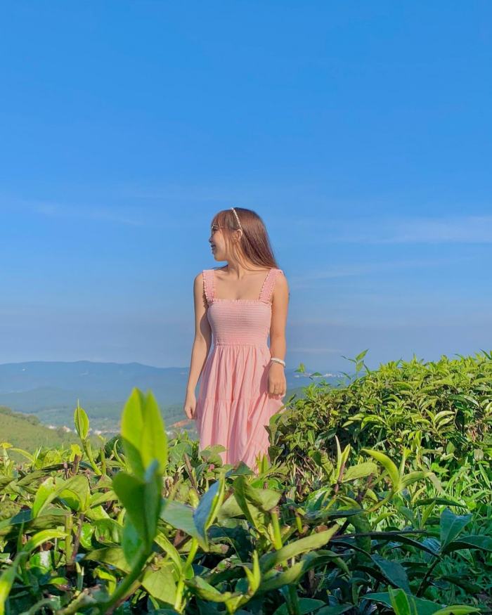 Tam Chau tea hill tourism 