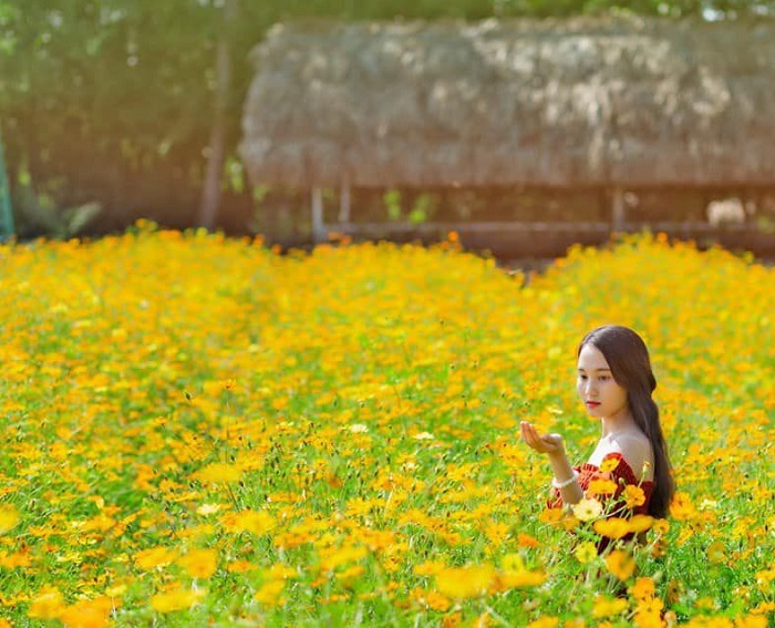 Nhi Binh Hoc Mon flower field - photo shoot