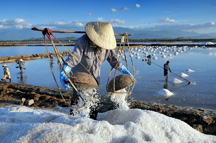 Cánh đồng muối Phương Cựu - một trong những cánh đồng muối ở Ninh Thuận quy mô lớn 