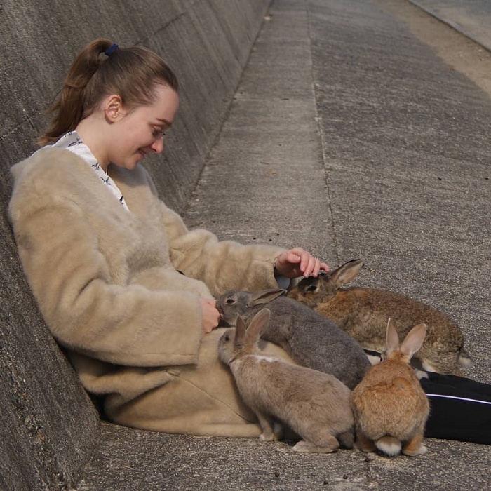 Sự đáng yêu của đảo thỏ Okunoshima Nhật Bản 