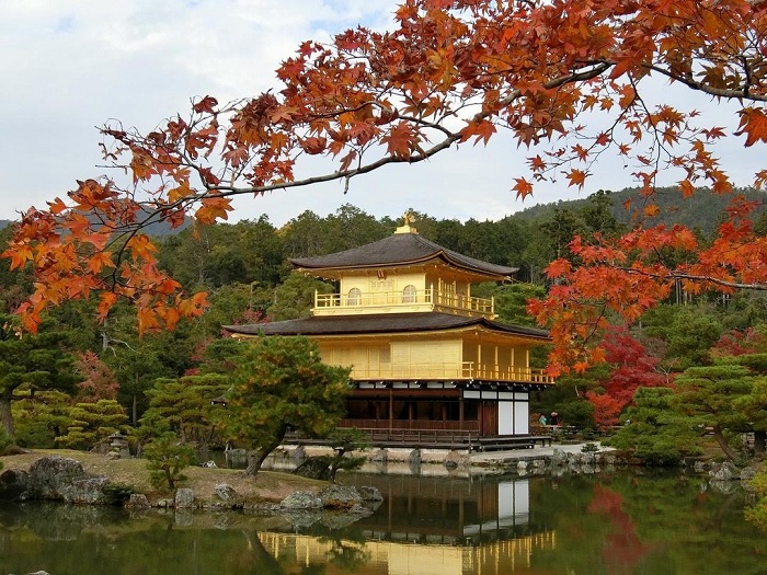 Vẻ đẹp của ngôi đền Kinkakuji Nhật Bản 